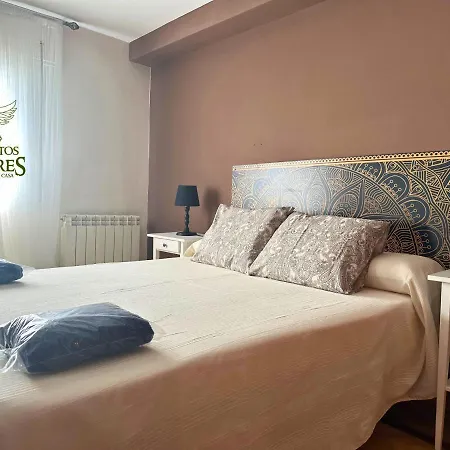 Dos Torres Atico - Solarium Privado En Calle Alfonso I * Zaragoza